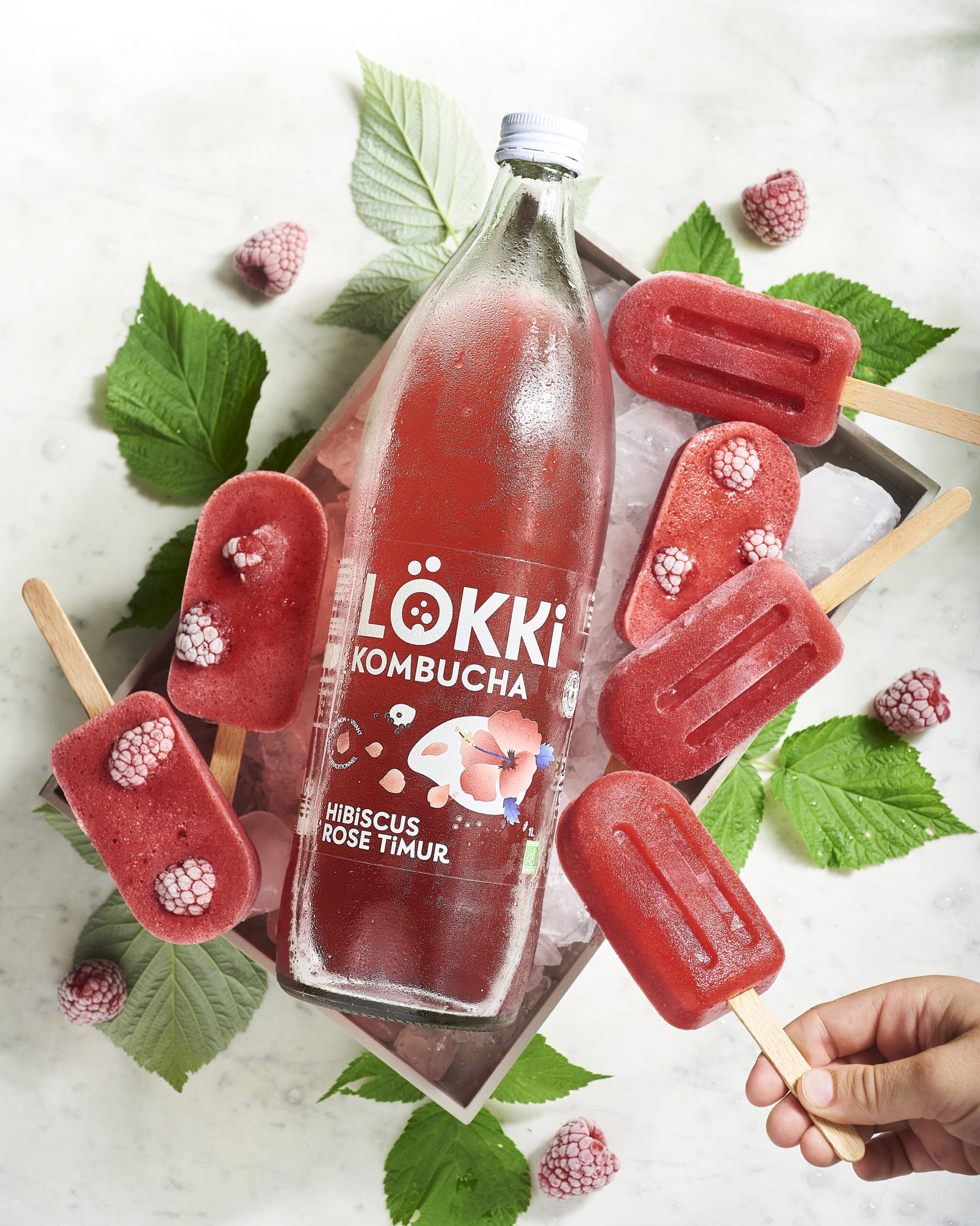 Lökki Kombucha Hibiscus Rose Baie de Timur glace boisson fermentée